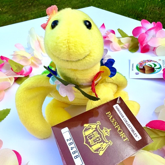 Adopt an Island Turtle - Aukai - Picture 2 of 4